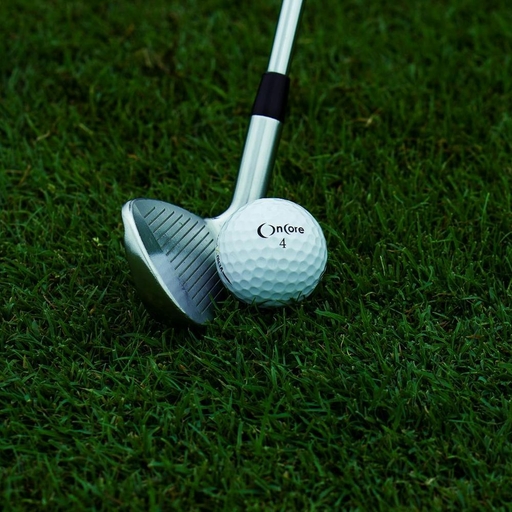 모임 대표 이미지