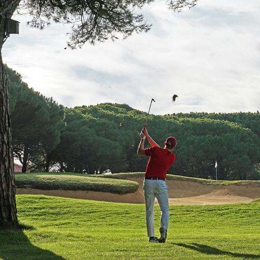 모임 대표 이미지