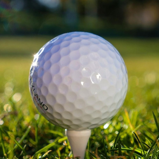 모임 대표 이미지