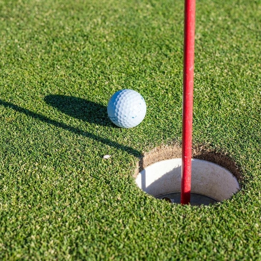 모임 대표 이미지