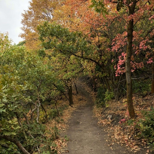 모임 대표 이미지