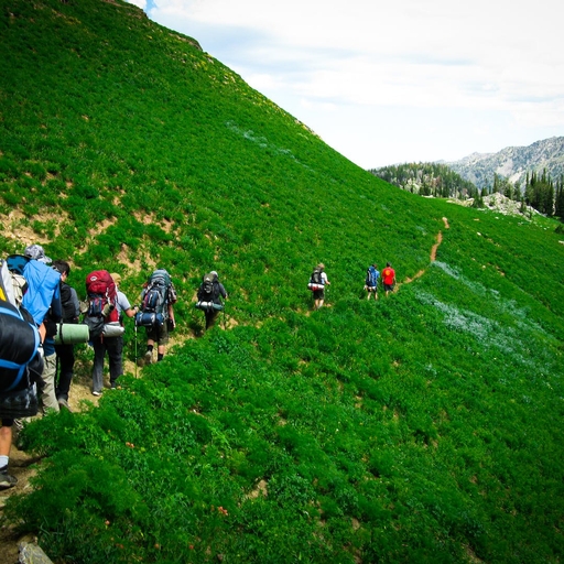 모임 대표 이미지