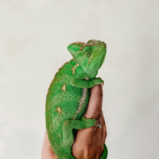 모임 대표 이미지