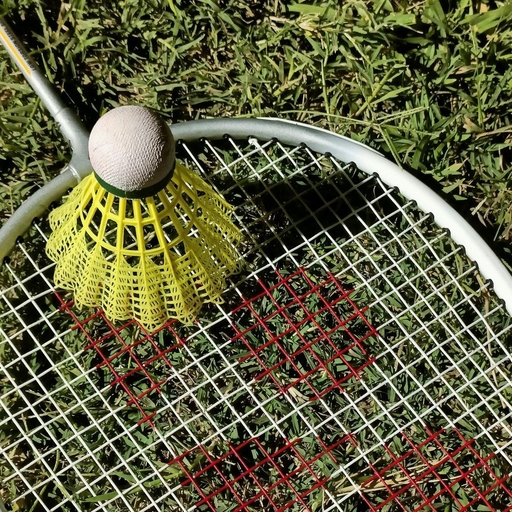 모임 대표 이미지