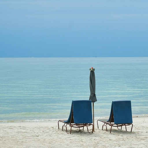 모임 대표 이미지