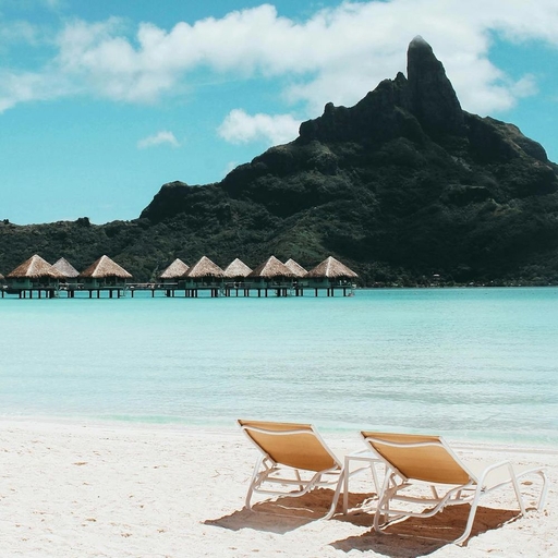 모임 대표 이미지