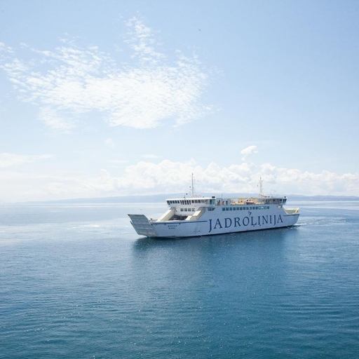 모임 대표 이미지