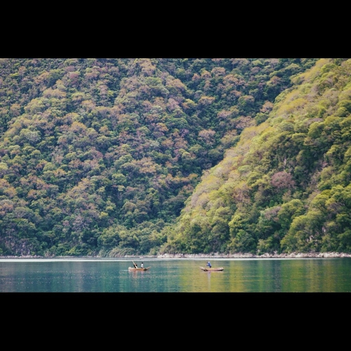 모임 대표 이미지