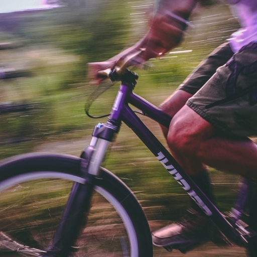 모임 대표 이미지