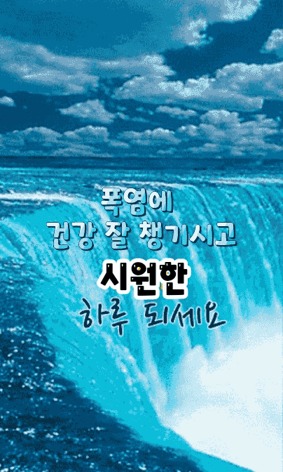피드에 업로드 된 이미지