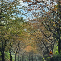 피드에 업로드 된 이미지
