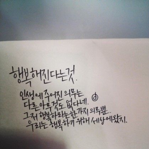 피드 이미지
