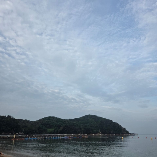 피드 이미지