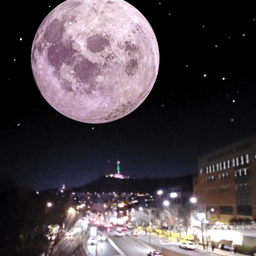 피드에 업로드 된 이미지