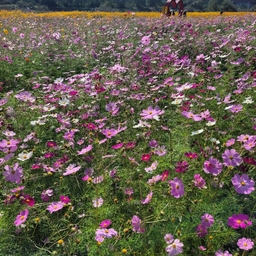 ํผ๋์ ์
๋ก๋ ๋ ์ด๋ฏธ์ง