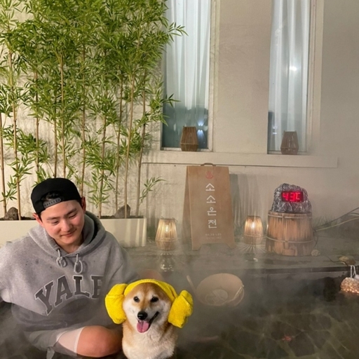 피드 이미지