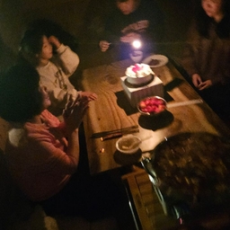 피드에 업로드 된 이미지