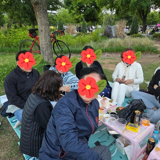 피드 이미지