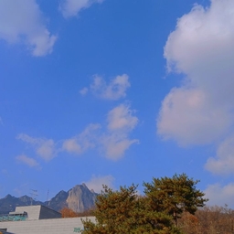 피드에 업로드 된 이미지