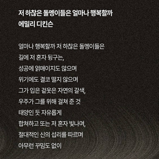 피드 이미지