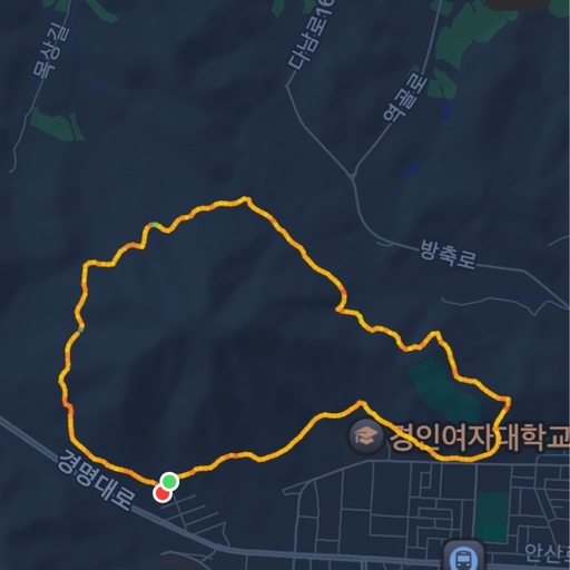 피드 이미지
