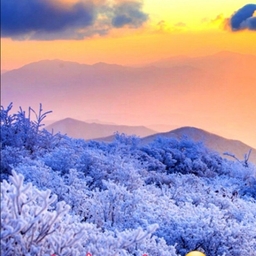 피드에 업로드 된 이미지