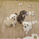멤버 프로필