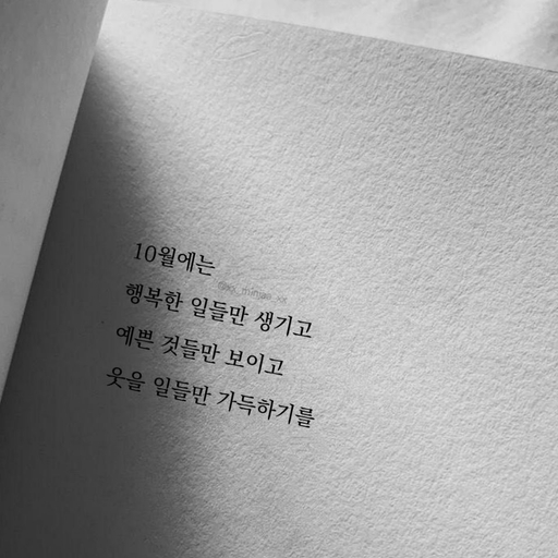 피드 이미지