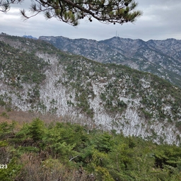 피드에 업로드 된 이미지