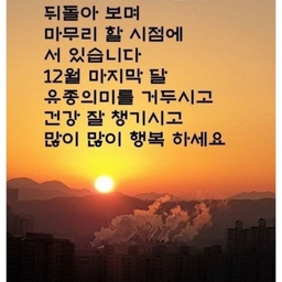 피드에 업로드 된 이미지