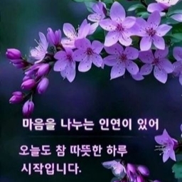 피드에 업로드 된 이미지