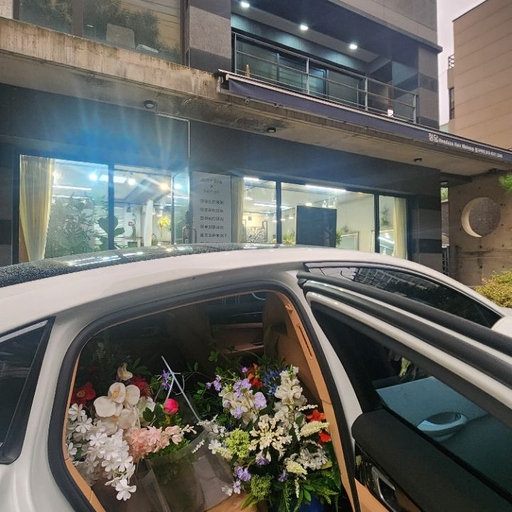 피드 이미지