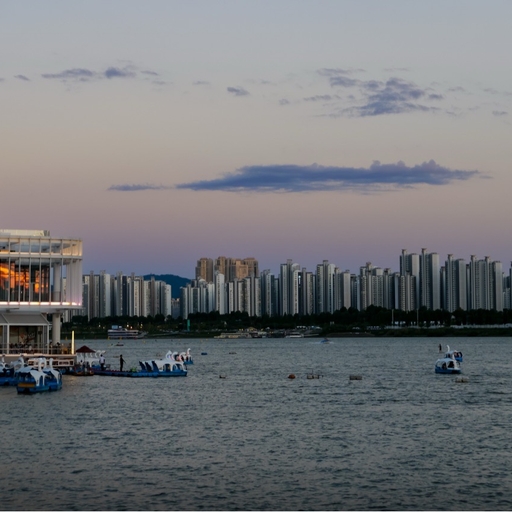 피드 이미지