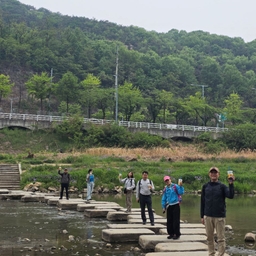 피드에 업로드 된 이미지