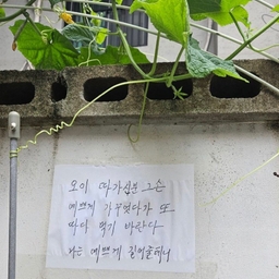 피드에 업로드 된 이미지