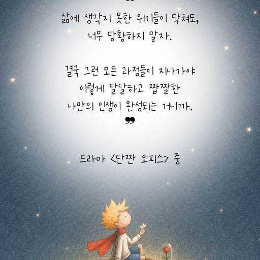 피드 이미지