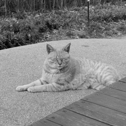 피드에 업로드 된 이미지