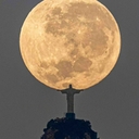 멤버 프로필