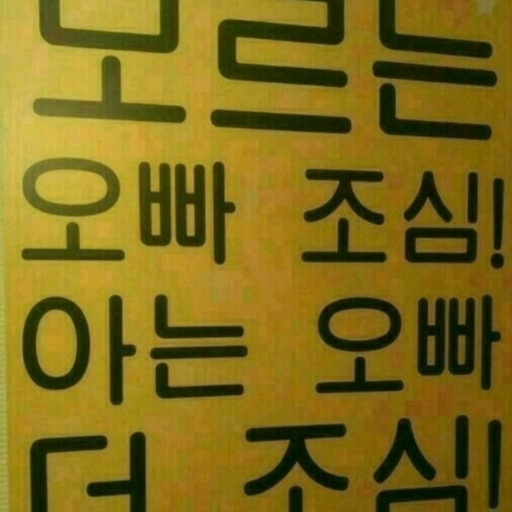 피드 이미지