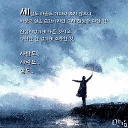 피드에 업로드 된 이미지