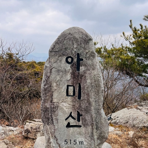 피드 이미지