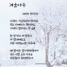 피드에 업로드 된 이미지