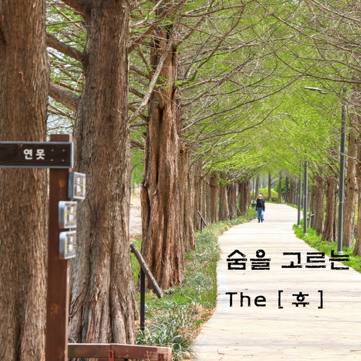 모임 대표 이미지