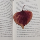 피드 작성자 프로필