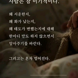 피드에 업로드 된 이미지