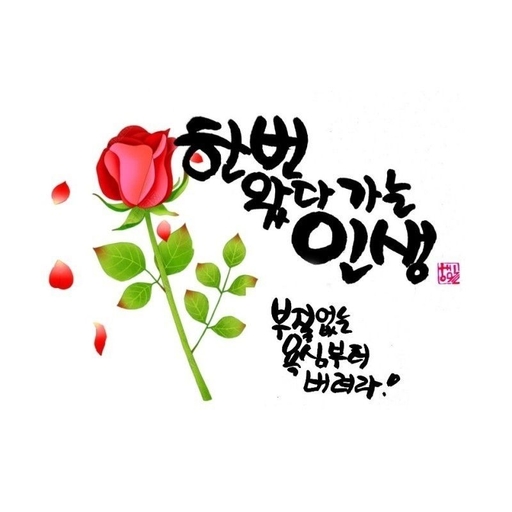 피드 이미지