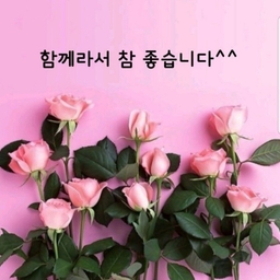 피드에 업로드 된 이미지