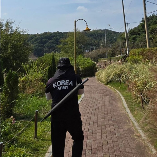 피드 이미지