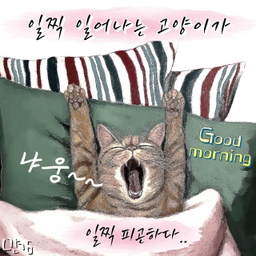 피드에 업로드 된 이미지