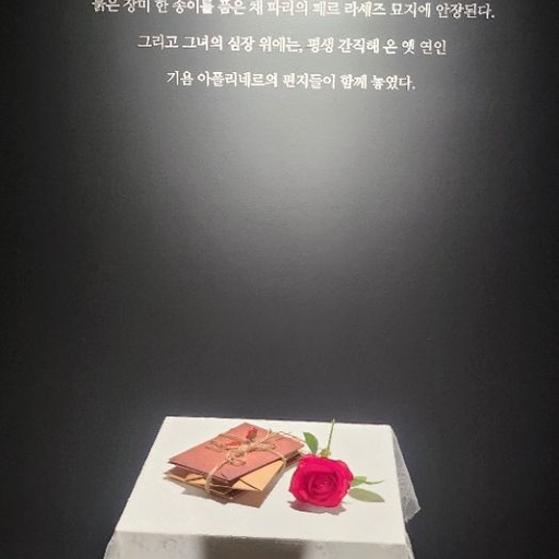 피드 이미지